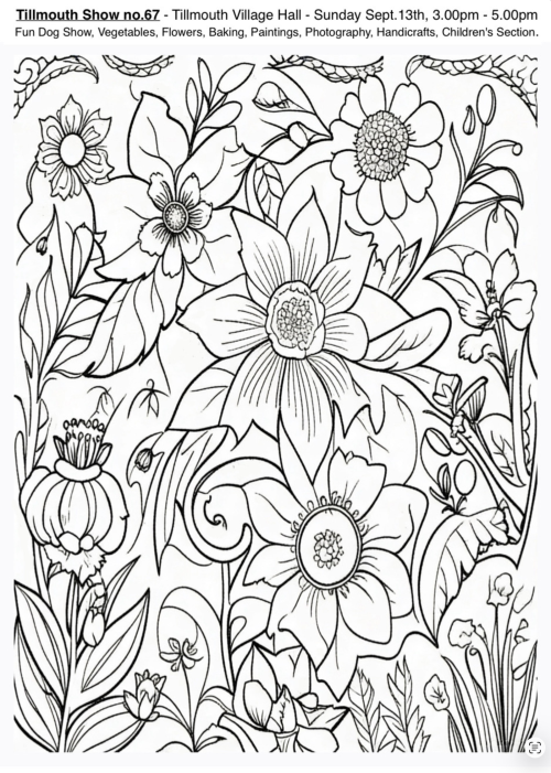 Tillmouth Flower and Fun Dog Show